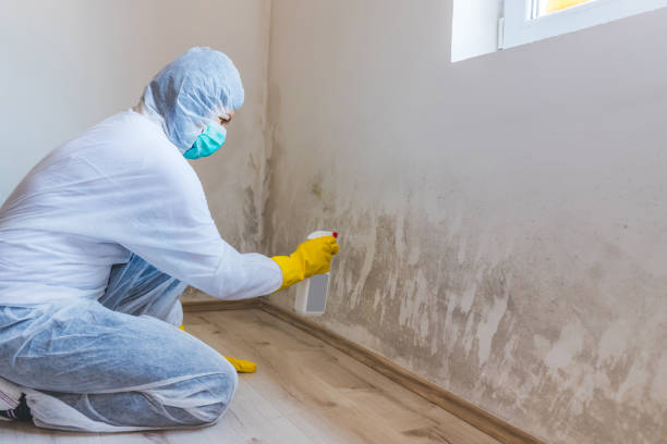 Licensed Mold Remediation service in Spotswood, NJ - 24 Hour Mold Removal