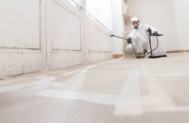 24/7 Emergency Mold Remediation experts in Spotswood, NJ